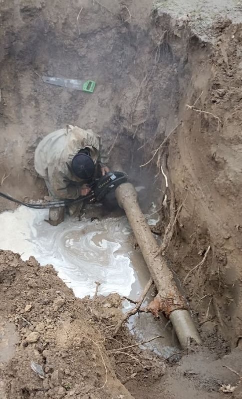 �������� - ����������������� ������ � �������