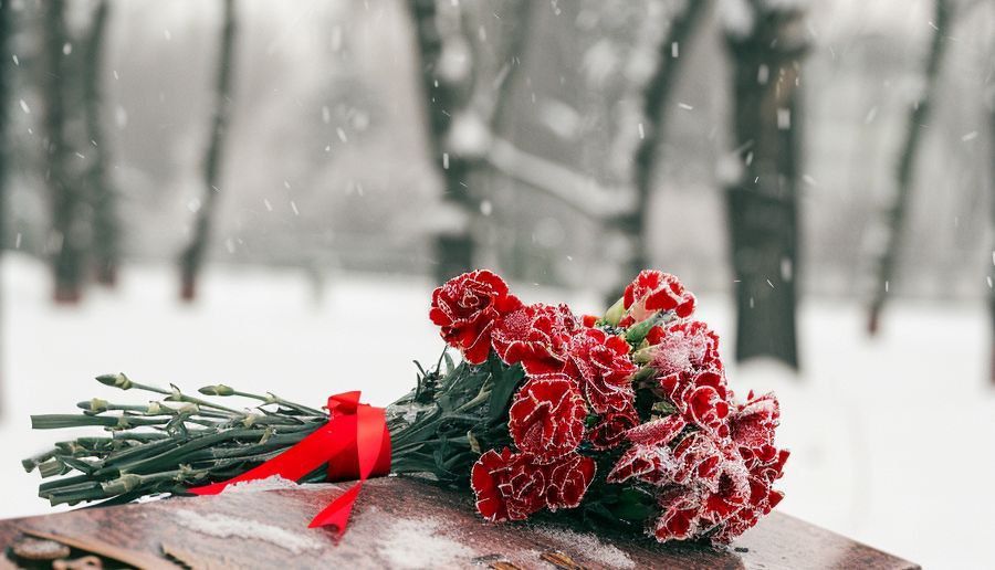 15 ������� - ���� ������ � ���������, ����������� ��������� ���� �� ��������� ���������