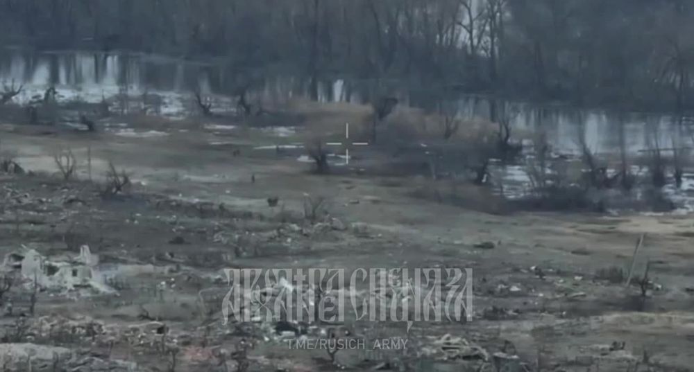 ���������� �����������. ���� ������������ ������� �������� ���