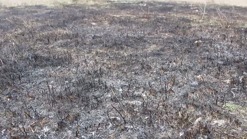 ����������� ������� �������� ���������� ����� � ���� ���������� ����������� ������