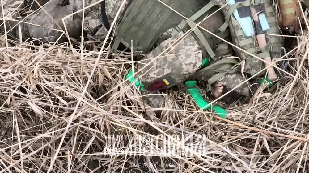 ���������������� ������ ������ ��� �� ���������� �����������