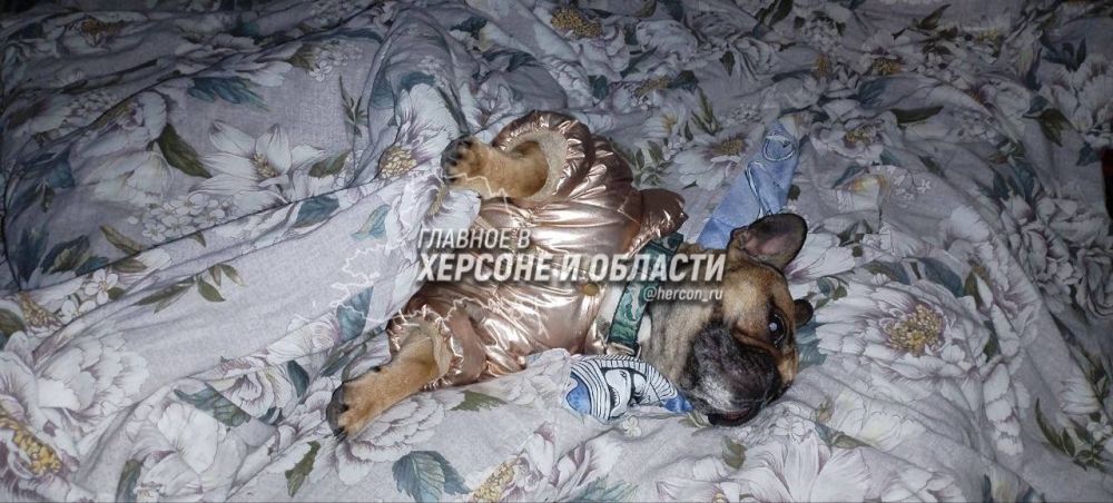 ��������� ��������� � ��� ������� � ���� ���������� ���������� ����������� ������� ������ ���� ���������