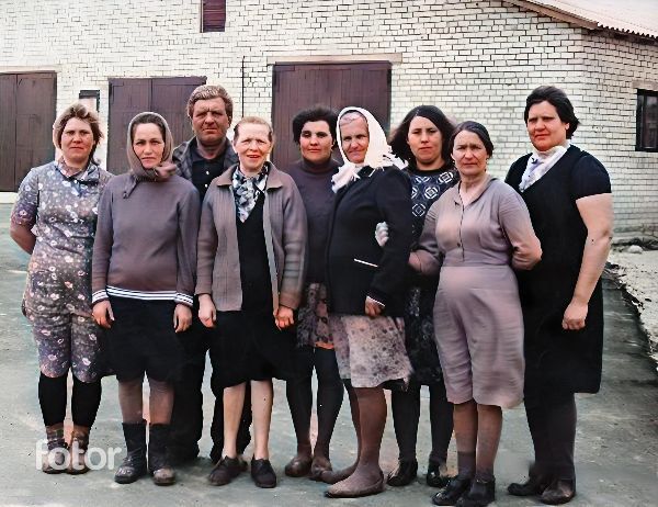 ������� ���� �����������