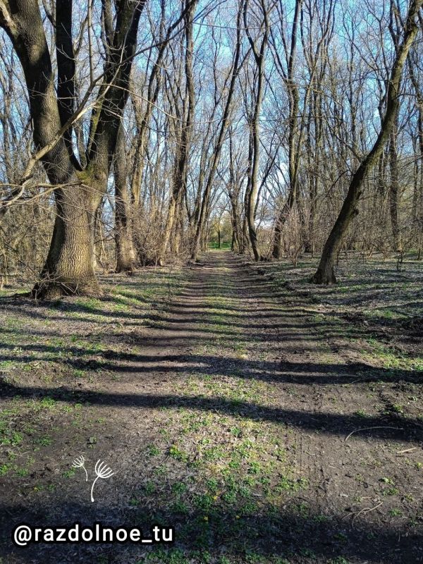 ����������,� ���������� �����