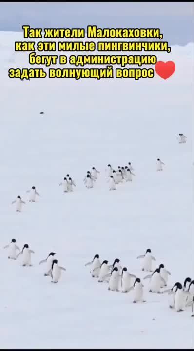 #������������. ������� ������, �� ��� ����� � ������ ��� ���� ������!