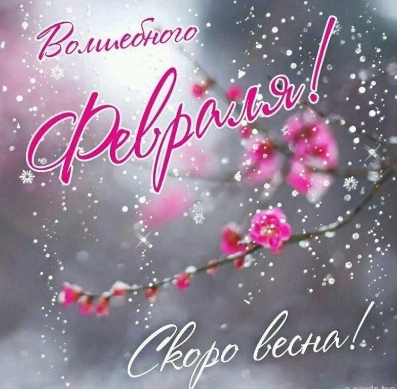 ������ ����. ������� � ������� �������� ������ ����������� ���� ����. ��� �������. ����������� �� +1 ����� �� +4 ����