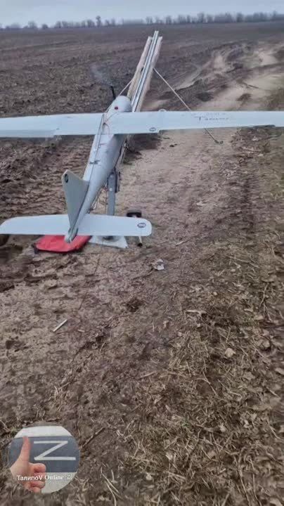 ��� ��� ���������� ������ "������", ������� ����� ������ � ������ ��������� ������� ������������ ����� ���������� �� �������� ��� �� ���������� �����������