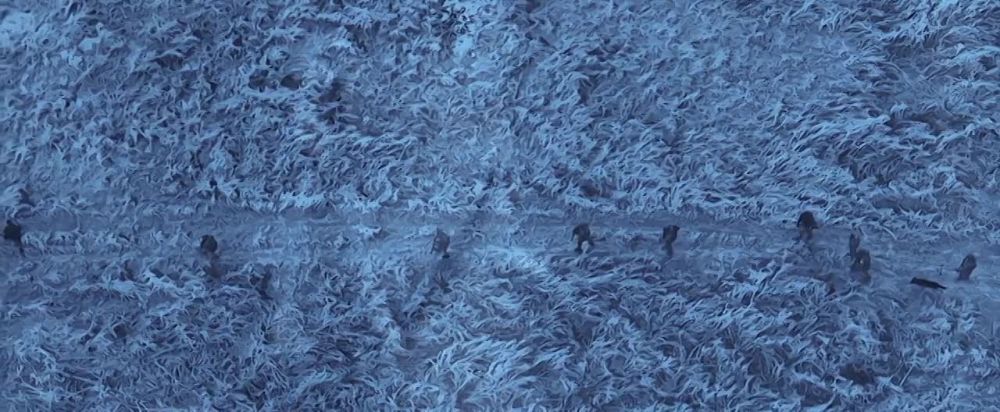 �������� ����� ����� ��������� � ��������� "������� �������"