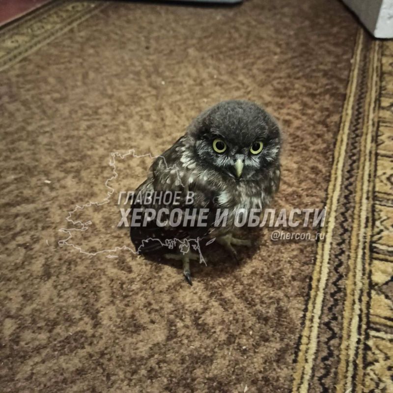 ������� �� �������� � ���� ���������� ���������� �������� �������� ���������