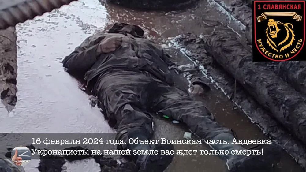 ���������� ���������� 1�� ����������� ���������� ������� � ������ �������� ���� ��������� ���������� 3 ���� 110 ���� ���, ����� ������������� ���� ��������� � ���