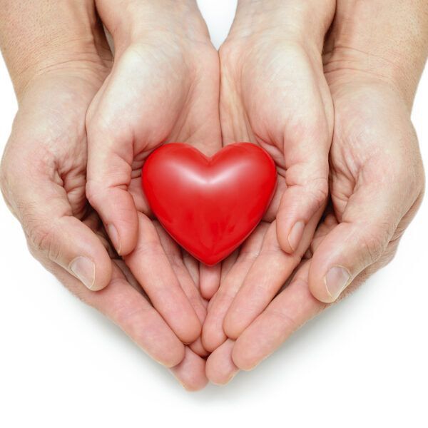 ������ ������ ������ ����: ������� ������ ��� ���� �� ��������������� ������