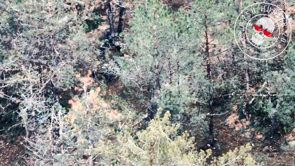 ���������� �����������, ����� �.�. ������