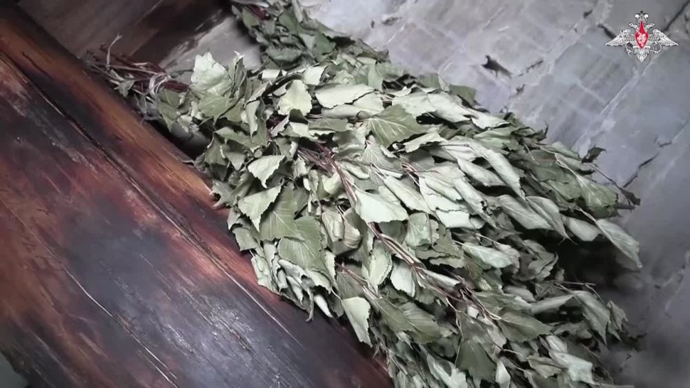 ���������� ������ �������� "��������� �����", ��������� ������������� �����������-������������ ����������� ����������� ����� "�����"