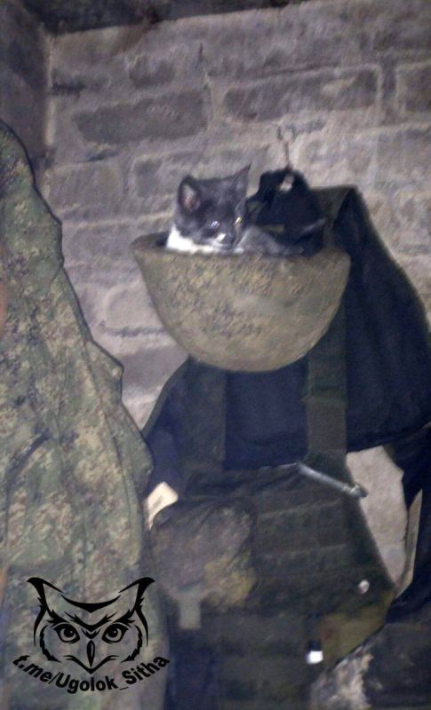 ��������� �������. �� ���������� �����: