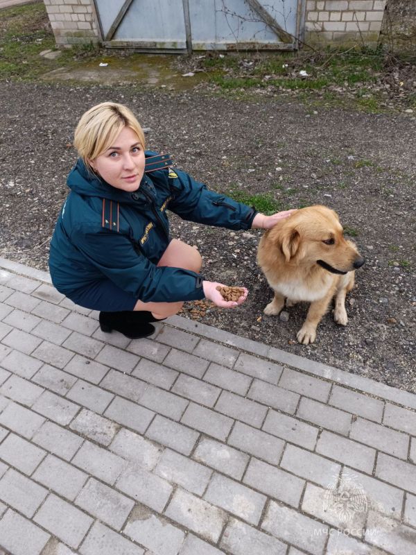 ������ �� ����������� ���������� ������������ ��� ��� ���������� �������, ����������, �����������