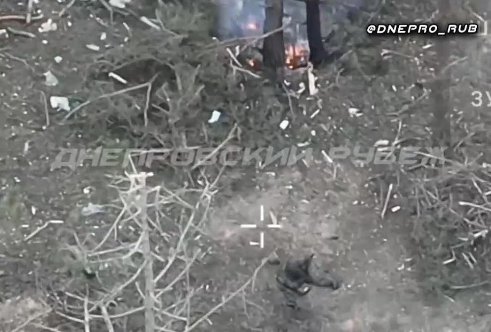 ����������� ����� "�����". ���������� �����������. ������ ����� ������, ��������� ������� � ��������, �������� ������ ����������, ��� � ���� ��� �������