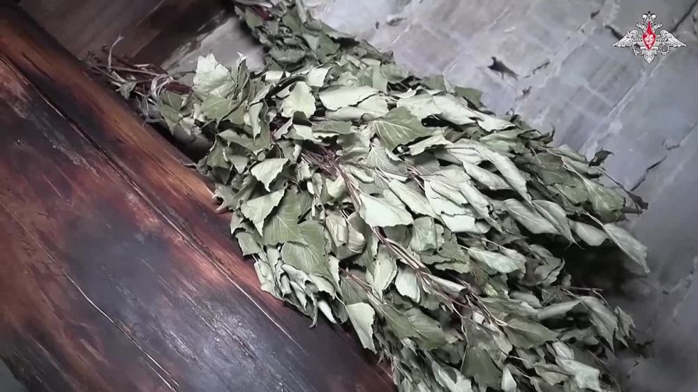 "��������� �����", ��������� ������������� �����������-������������ ����������� ����������� ����� "�����"