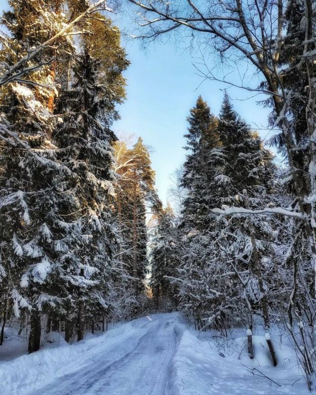 ������������ ���� "������� ������", ������