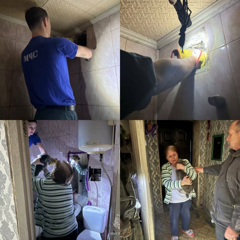 �������� ���������� ������� ������ �������, �������������� � �������������� �����