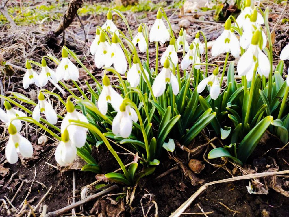 ����� �������� � ��� ��������