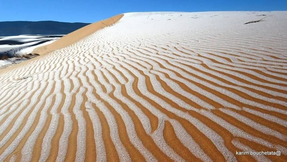 ���� � ��������� �������� � ��������� ������� �����: 18 ������� 1979 ���� ����� ����