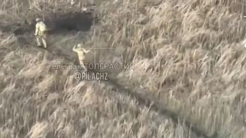 ������ �������� fpv-����� �� ����������� �������