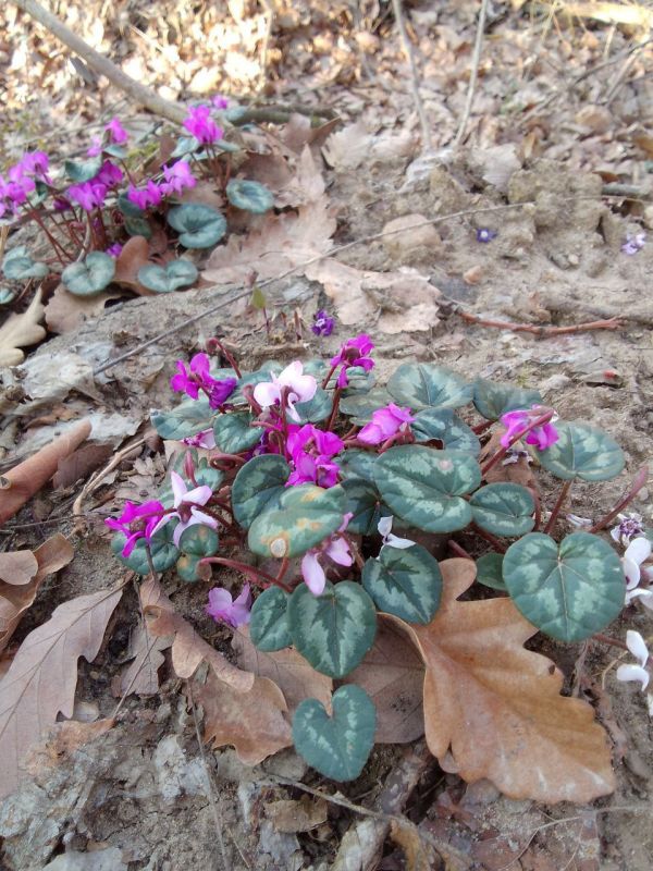 � ������ ����� �� ���������!