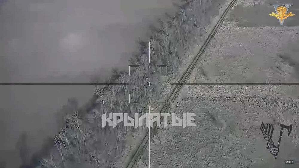 ����������� �����������