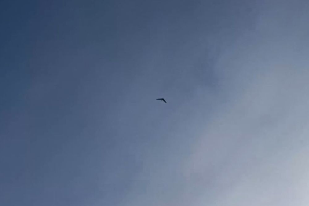 ������������� ���� ��� �������� ������������ ���������� �� ������ ������ ������