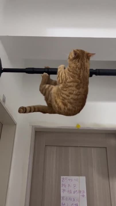 ������� �� ������.. � ���������� 23 ������� � ����� ������ �������� �� ������������� ������ � ������ ������� ����. ����� � ������� ���� ���!