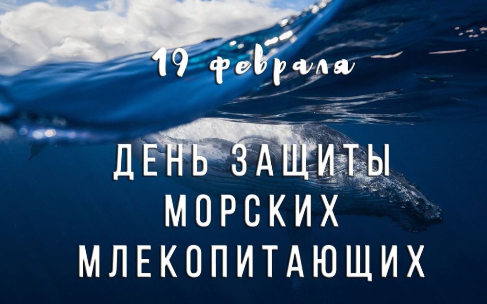 ��������� 19 �������. ��������� ���� ������ ������� �������������