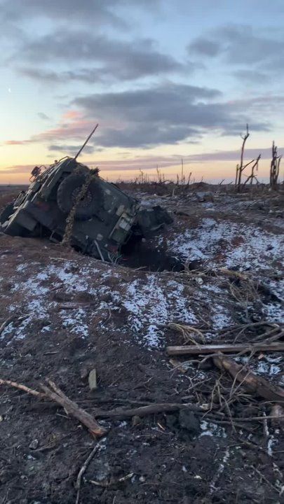 �������� ������������ ������������ ���������� ������������ ����� �.�. �������� �� ����������� �����������