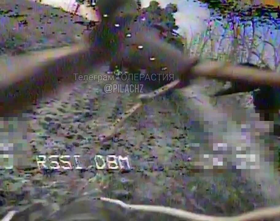 ����� ������ ������ �� ����������� � �������, �� �� ������ ��� ����-���������