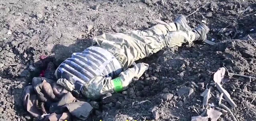 ������ ���������� ���� ����� � ����� ���������