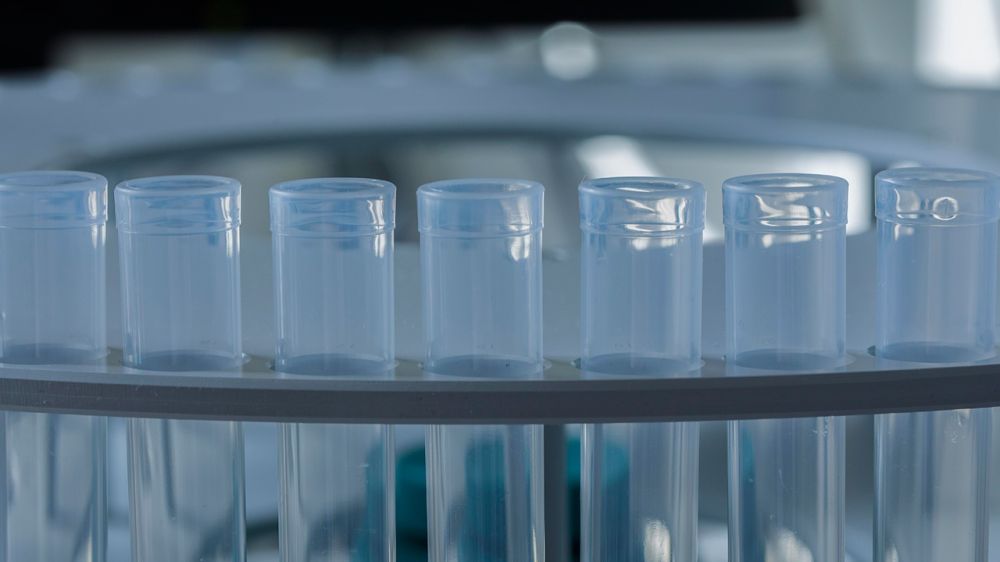 ��� ���������, ��� � ��� ���� ����������� �������� ���� ��������