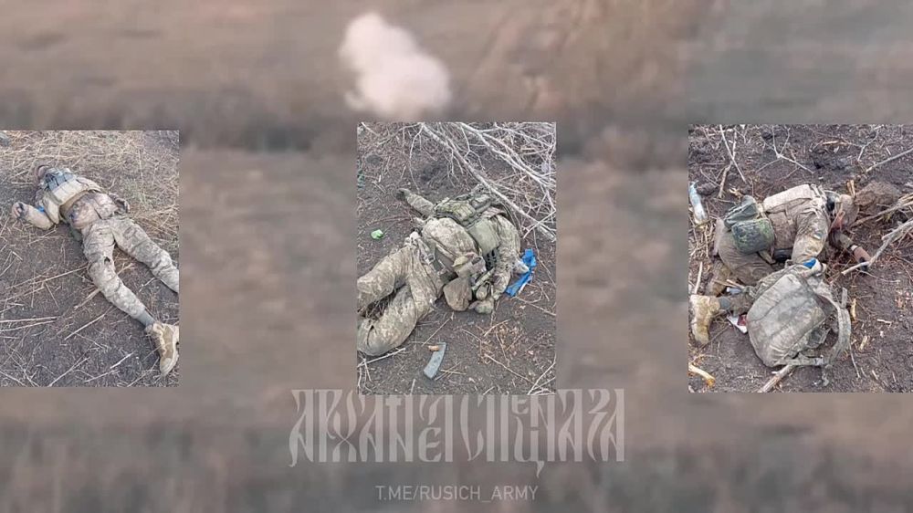 ����� �� ������������ ��������