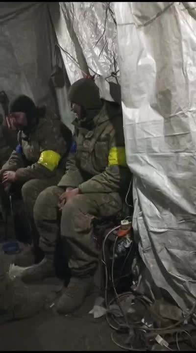 ������� ��� ����� ����� � ������� ����������� ���������