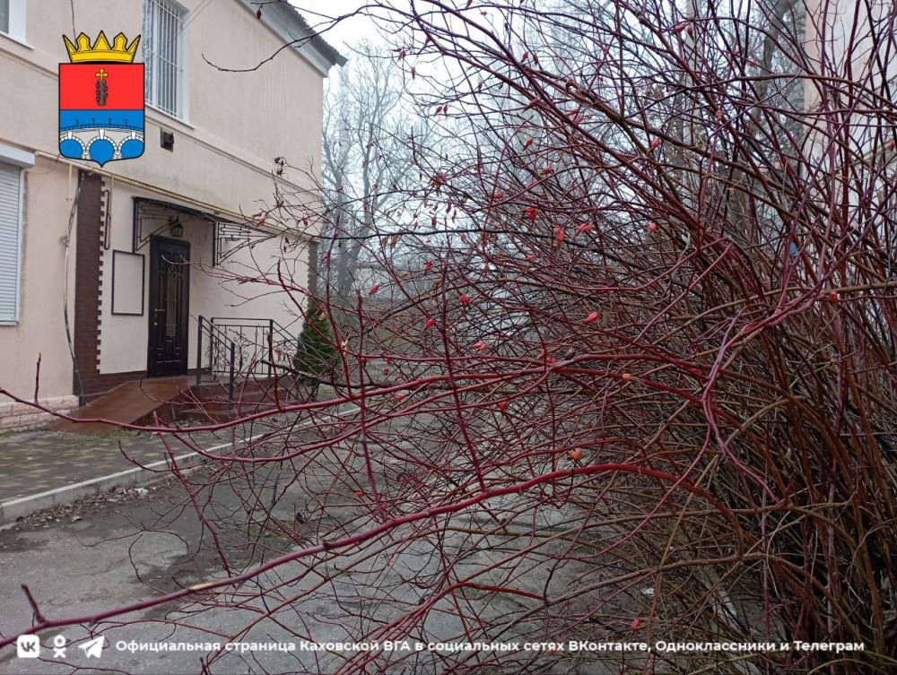 ������ ����, �������!. @VGA_Kakhovka