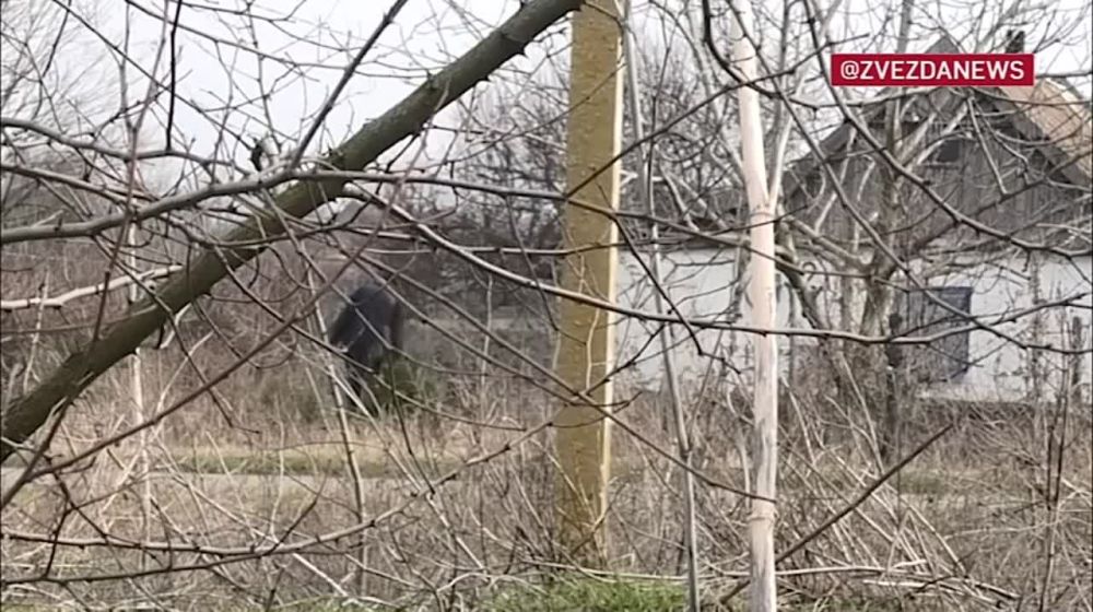 � ����������� ������� �������������� ������ ���, ������� ����������� ���������