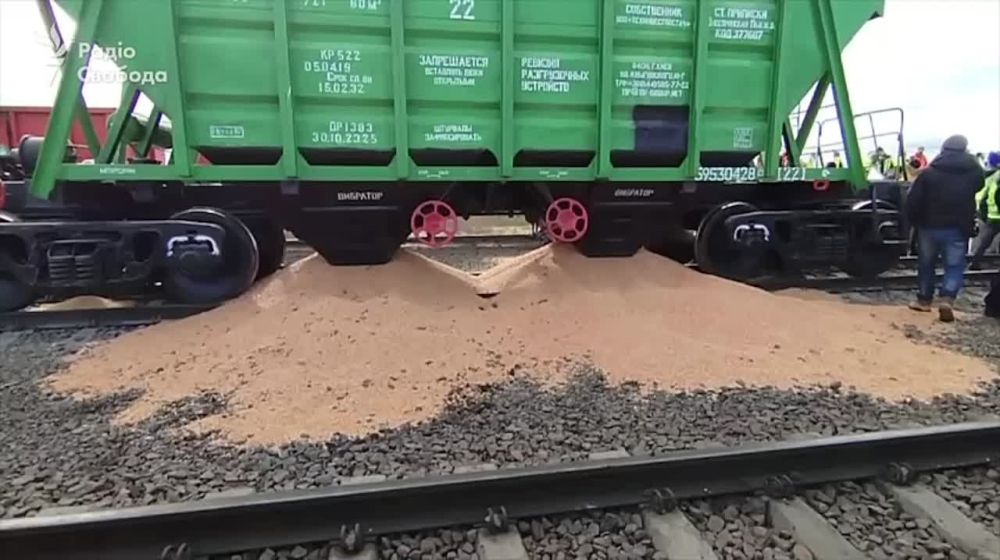 �������� ������������ ��������� �������� ������ ������ ��� "������-������" � �������� ����� �� ��������� ������