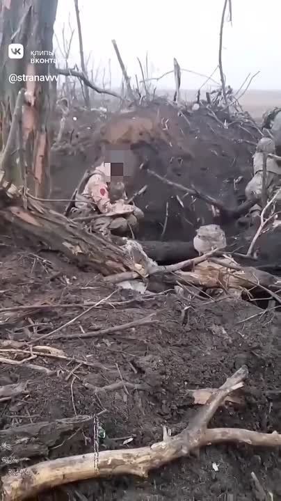 ������� ������ ����� ���� �������� �����, ����� ��� �� ������!