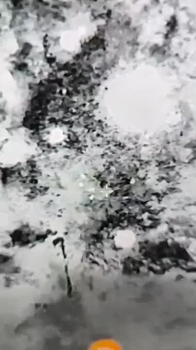 ��� ������: ���������� �����������. ����� �.�. ������. ���� ������� ����������. �� ����� �����