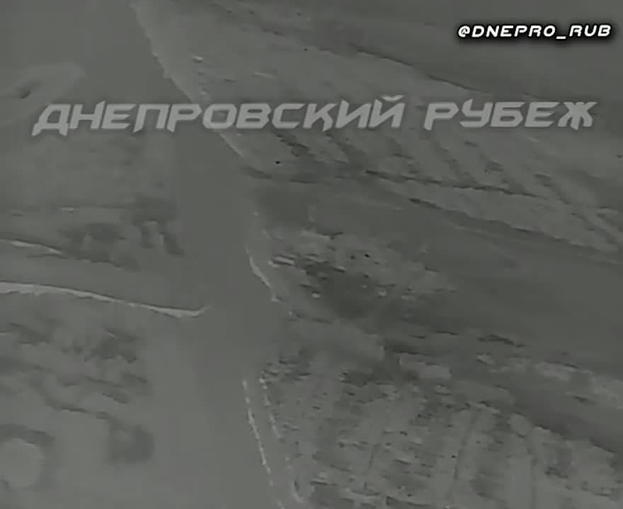 ���������� �����������. ������������ ������