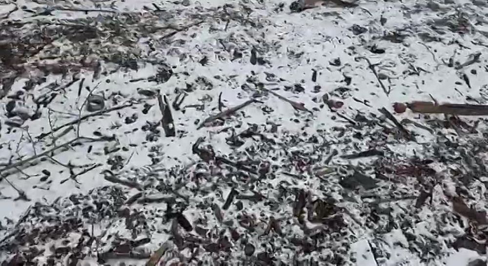 ��� ���� ������ ���������� �������� � ��������, ������� �� ������ ���������� ���������