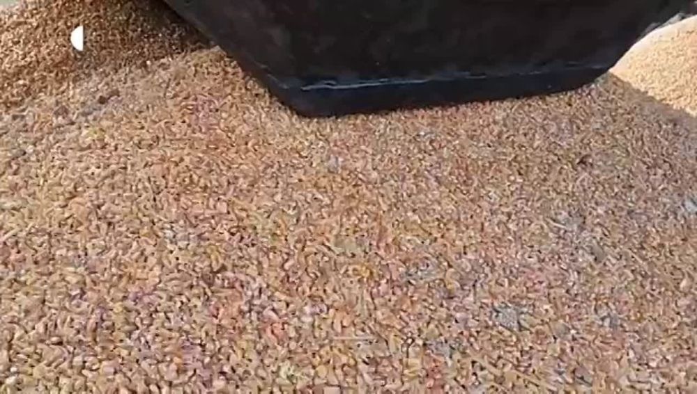 ������ ��������� �������� ������ ����� ������ �������� �������-������ � �������� ����� �� ������ � ���