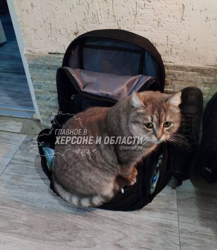 ���������� �� ������������ � ���������� �������� � ������� � ������� ���������� ��������� ����� ����� ��������