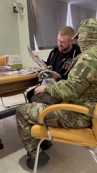 ��������� ��������� ���������� ����������� @oprf_official � ������� ������ ������� ������������ ����� �������