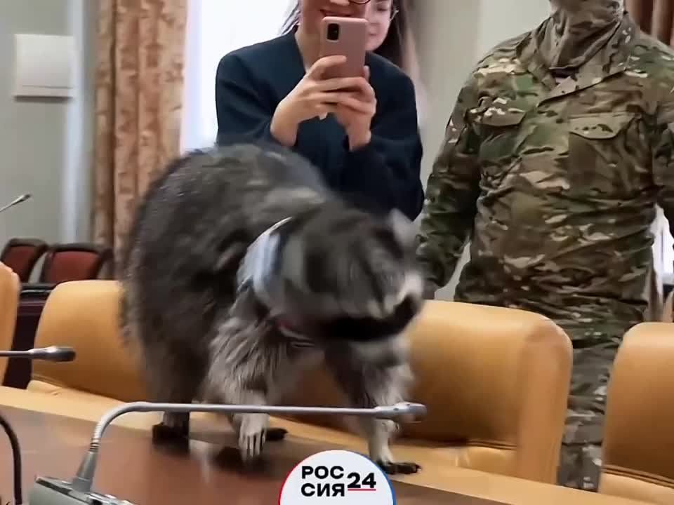 ������� ������������� �����: ����� �� ������� �������� � ������������ ������ ��