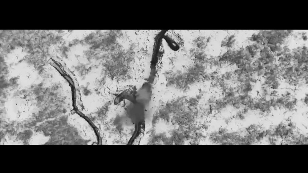 � ������ �������� ����� ����� ����