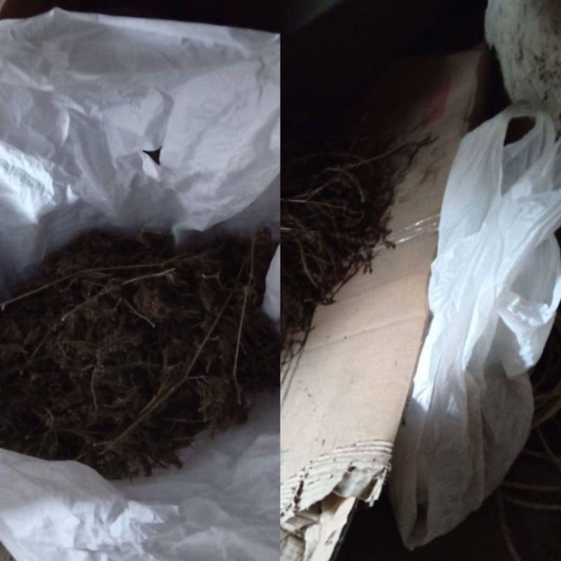 � ������ ���������������� ������ ������ ������������� ��������